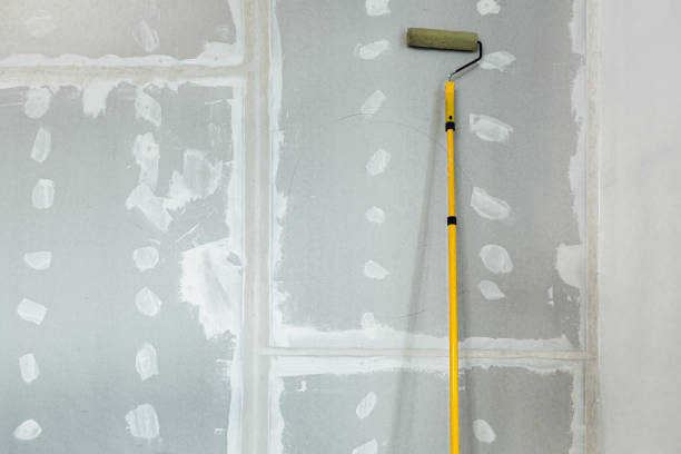 Professional Mold Removal in Mills River, NC