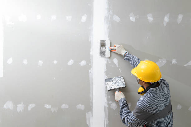 Best Post-Remediation Verification Testing  in Mills River, NC