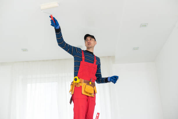 Best Asbestos and Lead Testing During Mold Inspection  in Mills River, NC